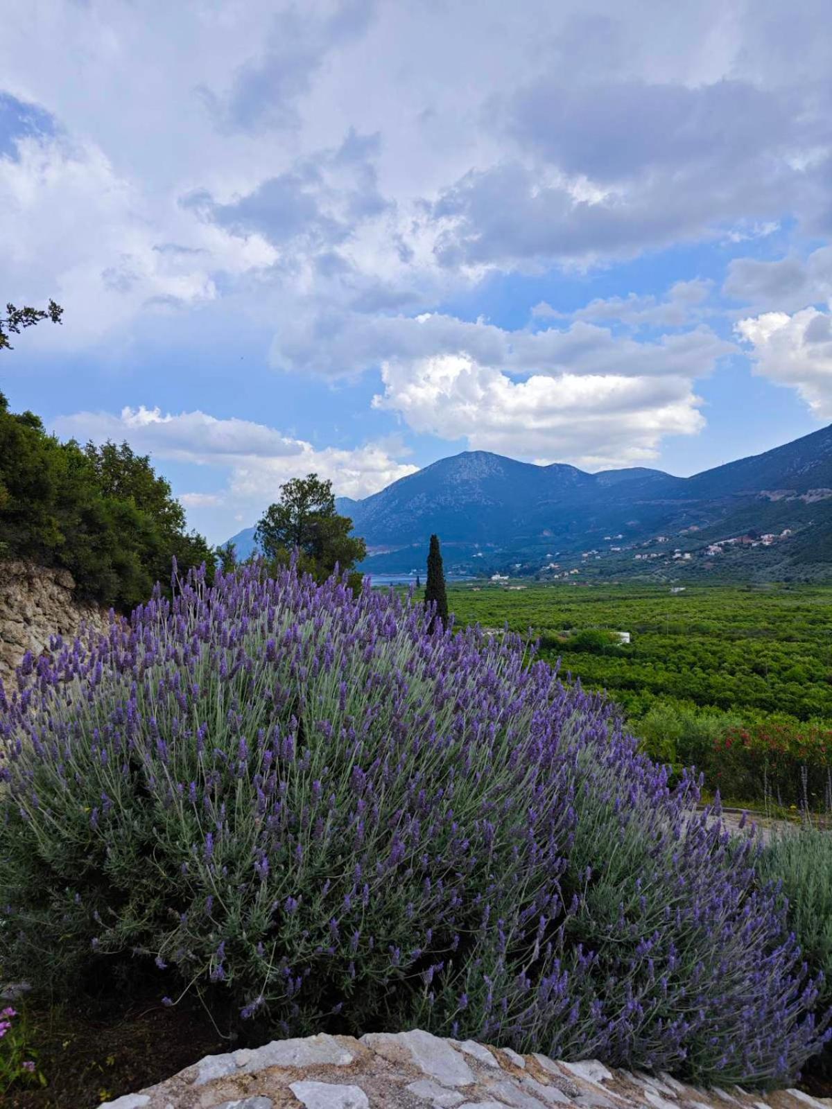 Melissafarm Guest House Epidaurus Dış mekan fotoğraf